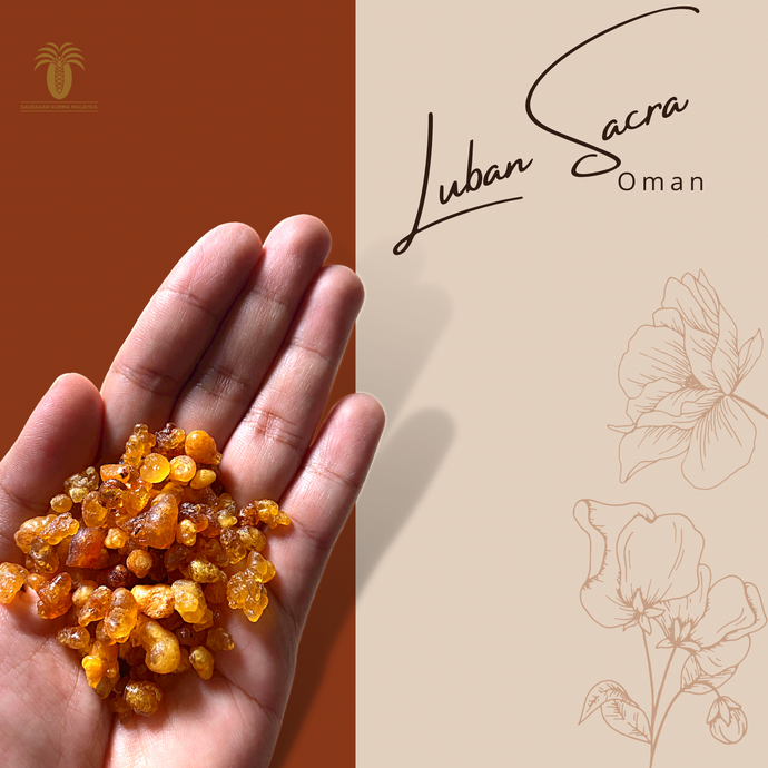 LUBAN SACRA OMAN (New!)